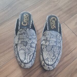 Circus Sam Edelman Hal Faux Snake Skin Mule
